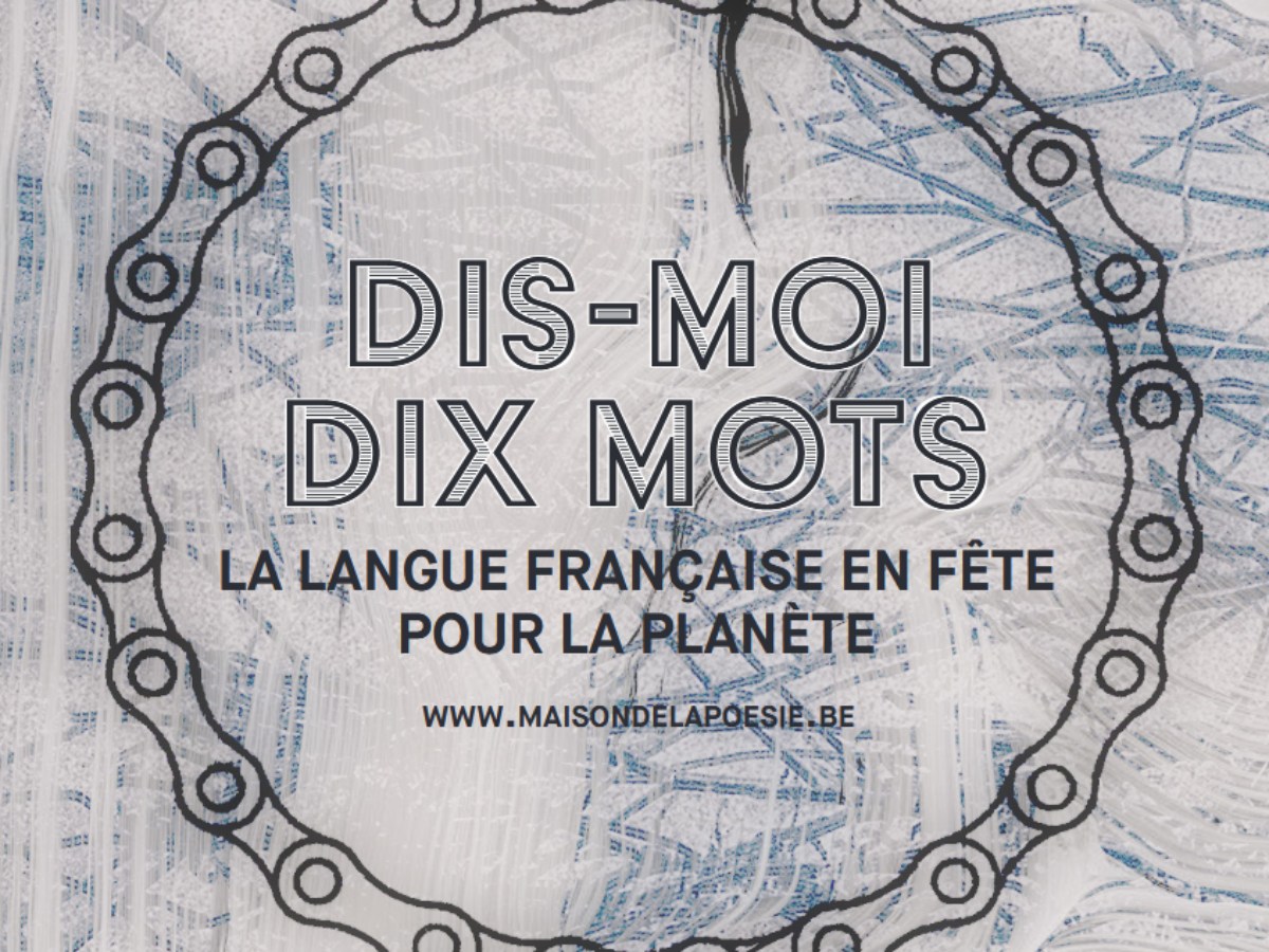 dis moi dix mots