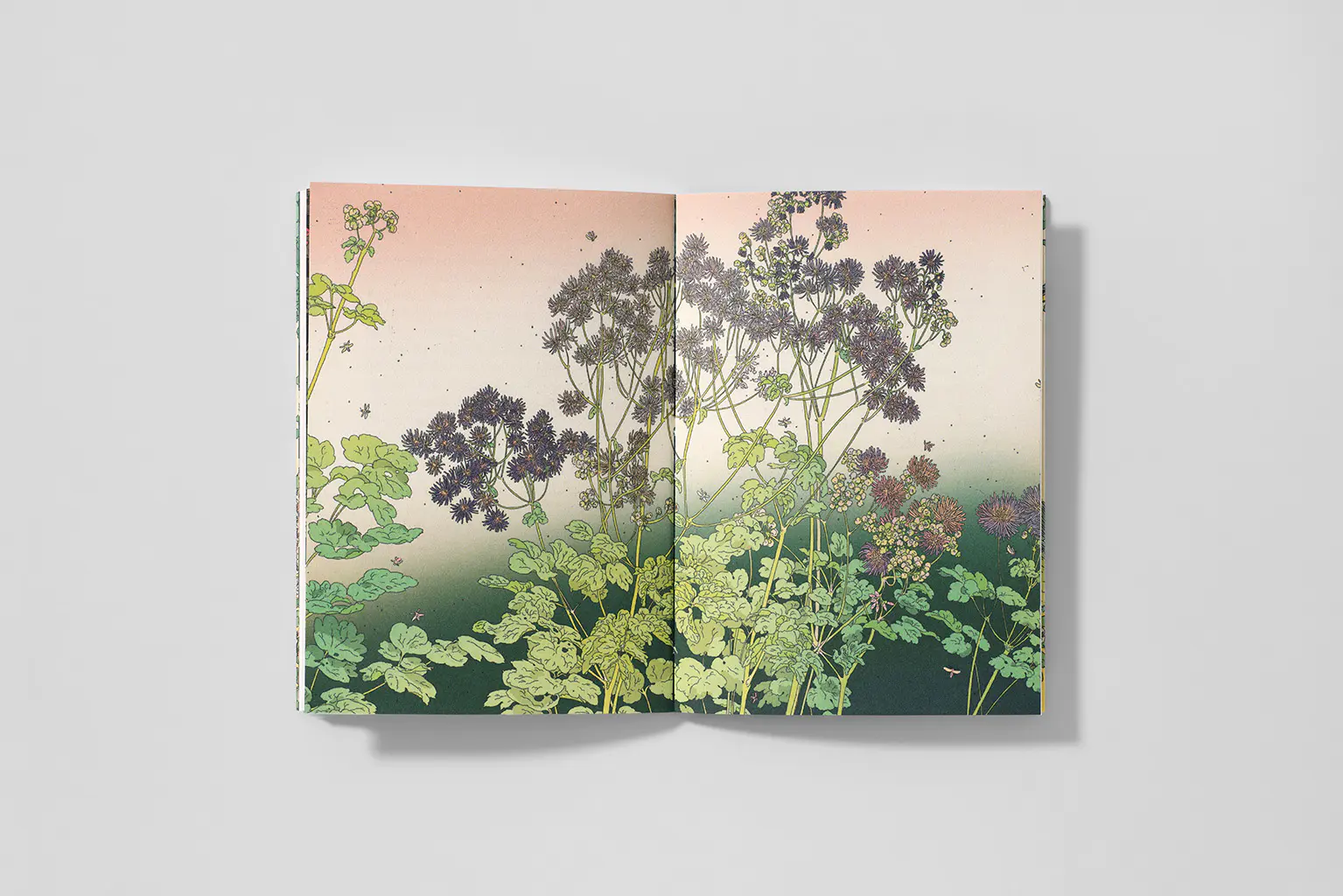herbier 2