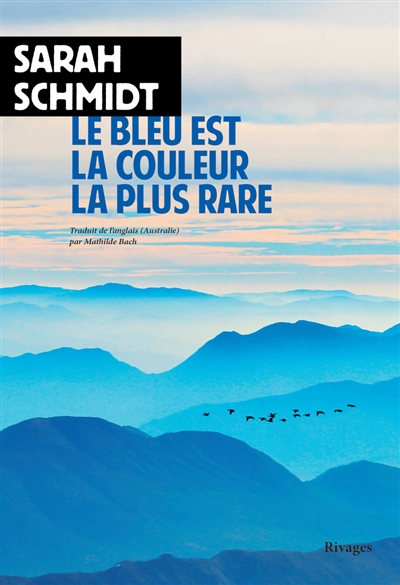 le bleu est la couleur la plus rare electre