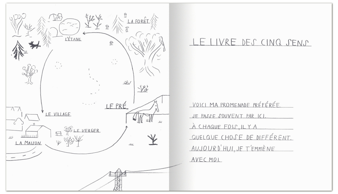 livre des cinq ses 1