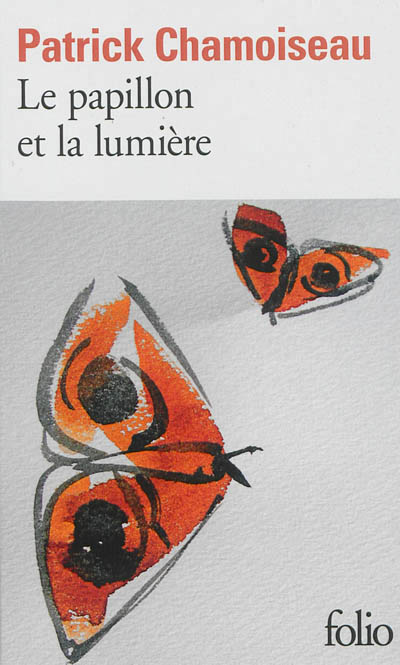 papillon et la lumiere