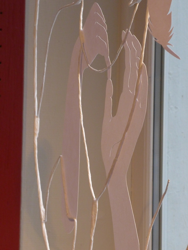 vitrines 17 3